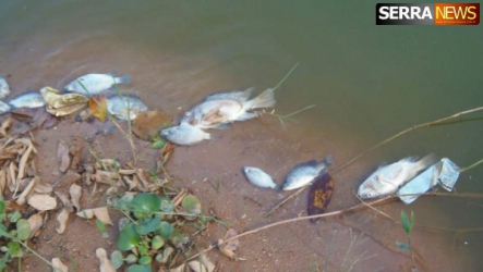 Peixes aparecem mortos no Lago de Javary