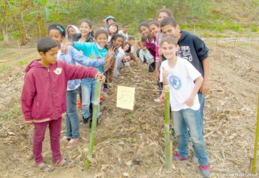 PATY E O MEIO AMBIENTE 
