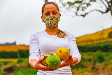 Miguel Pereira é um dos maiores produtores de maracujá da região.