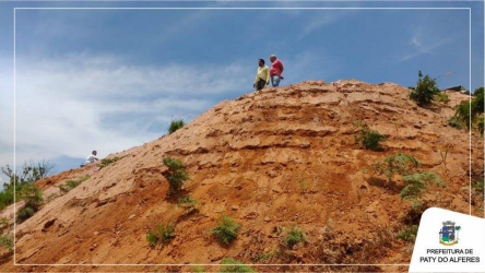 PREFEITO JUNINHO BERNARDES REALIZA TÉCNICA DE ADUBAÇÃO VERDE EM PALMARES