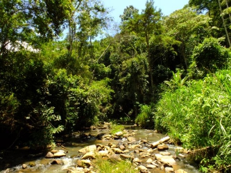PATY DO ALFERES TEM SUA PRIMEIRA RESERVA  PARTICULAR DO PATRIMÔNIO NATURAL