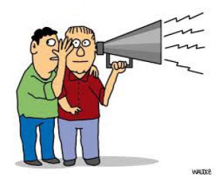 COTINHA FOFOCAS EDIÇÃO 146