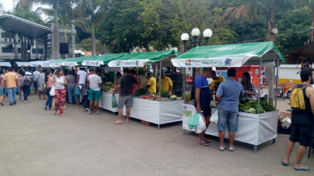 FEIRA AGROECOLÓGICA DE PATY DO ALFERES É O NOVO PONTO DE ENCONTRO DA REGIÃO