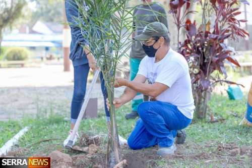 Secretaria de Meio Ambiente de Miguel Pereira comemora o dia da árvore com diversos programas em execução no município